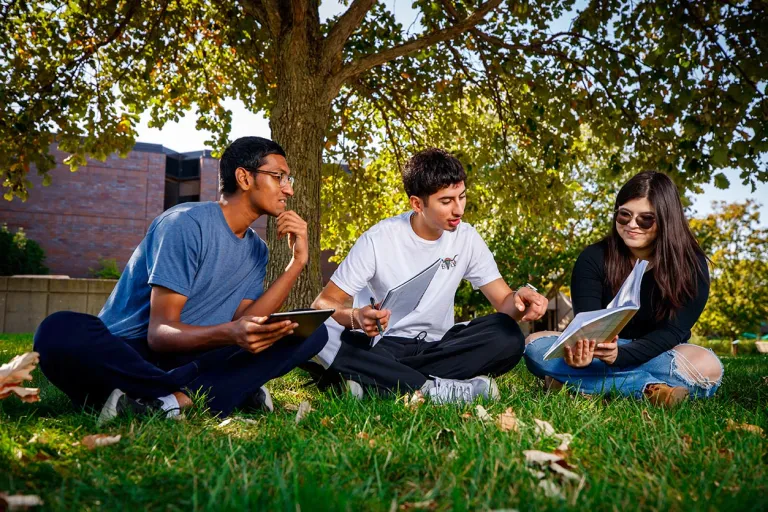 Mixed group of students studying outdoors