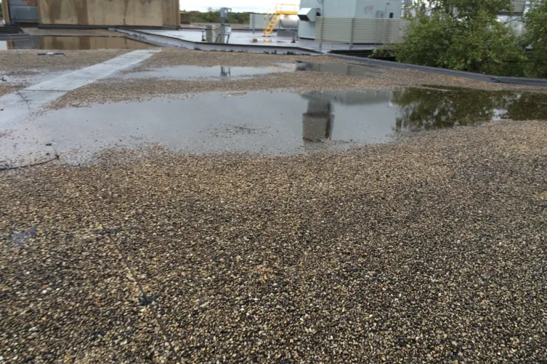 Water ponding on the roof of the "E" Wing of the main building.