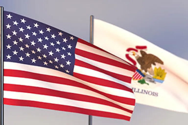 American and Illinois flags