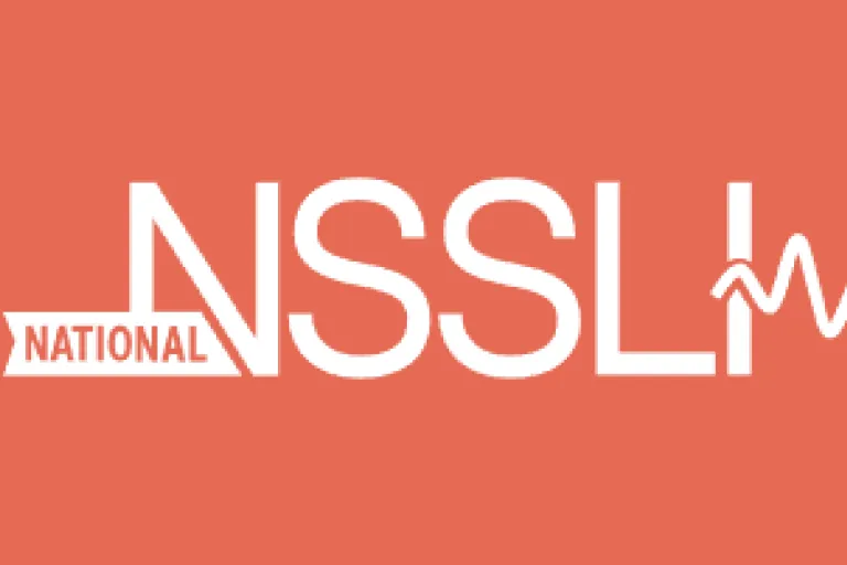 NSSLHA logo