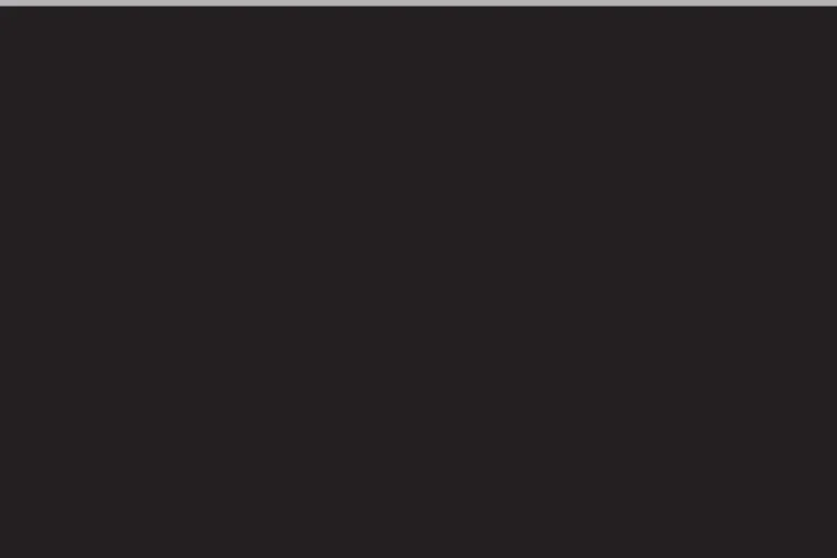 GovState Black