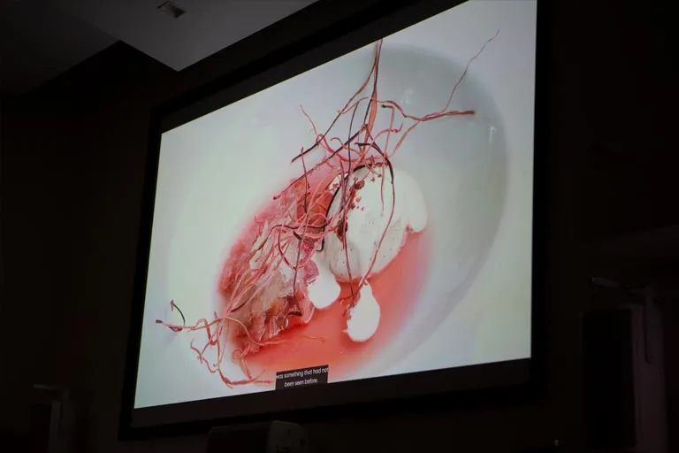 Film showing an artistic dessert with white cream, red liquid, and thin red edible roots in a white bowl.