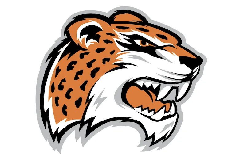 Logo: Stylized orange and black jaguar head with fierce expression.