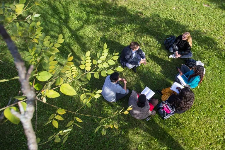 Group of people sitting in a circle on sunny green grass, some reading, overhead view.