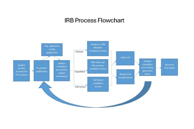Graphic: IRS Process Flowchart with blue steps, decisions, and a feedback loop.