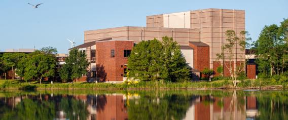 Image of pond and trees behind Governors State University