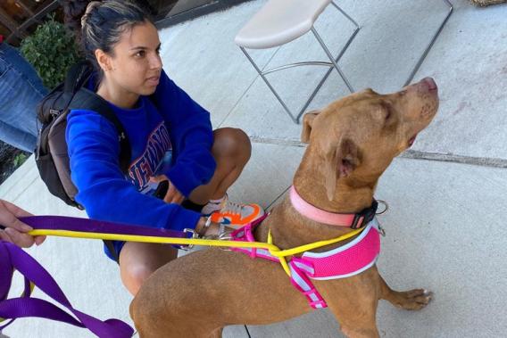 Woman kneeling next to a dog