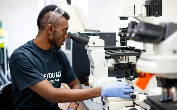 Person looking through microscope in lab
