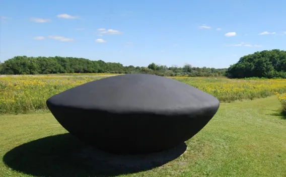 Large black oval sculpture in a green field with yellow flowers, trees, and blue sky.
